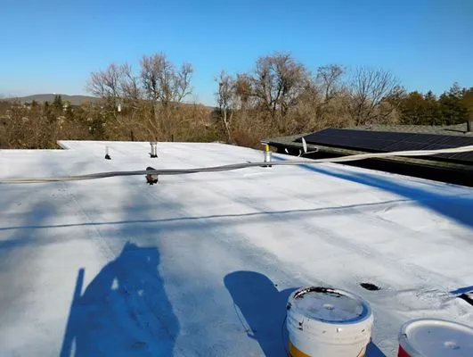 Mad Pelican Roofing Logo