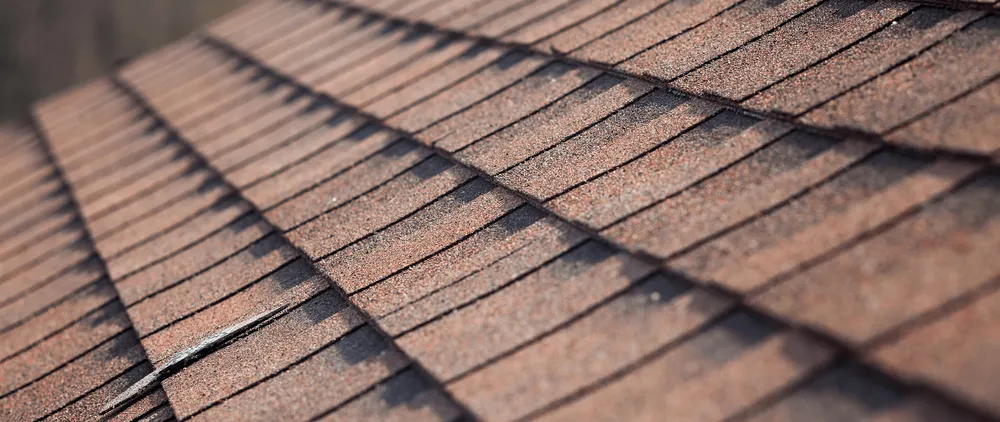 Slide of MAGA Contracting