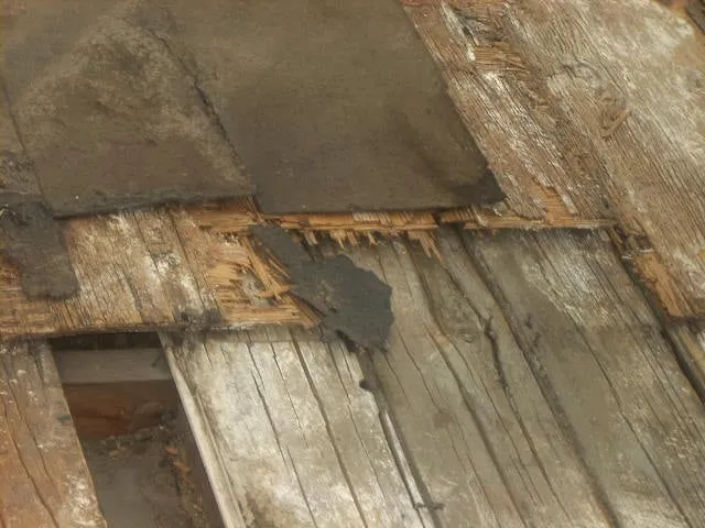 Slide of Magic Hands Roofing