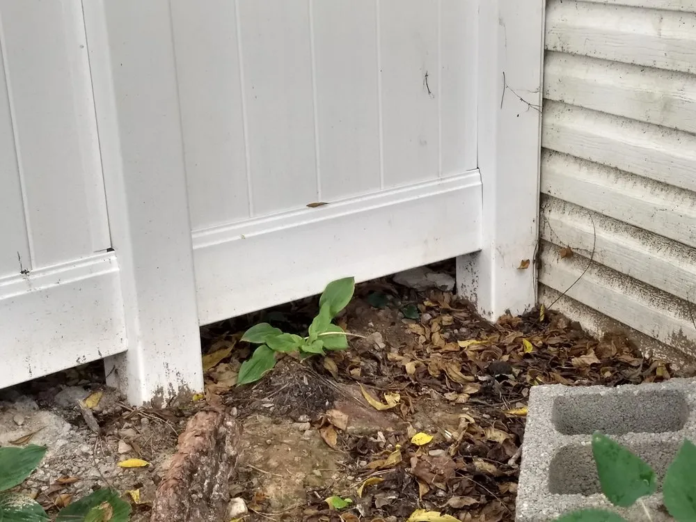 Slide of Magic Home Services