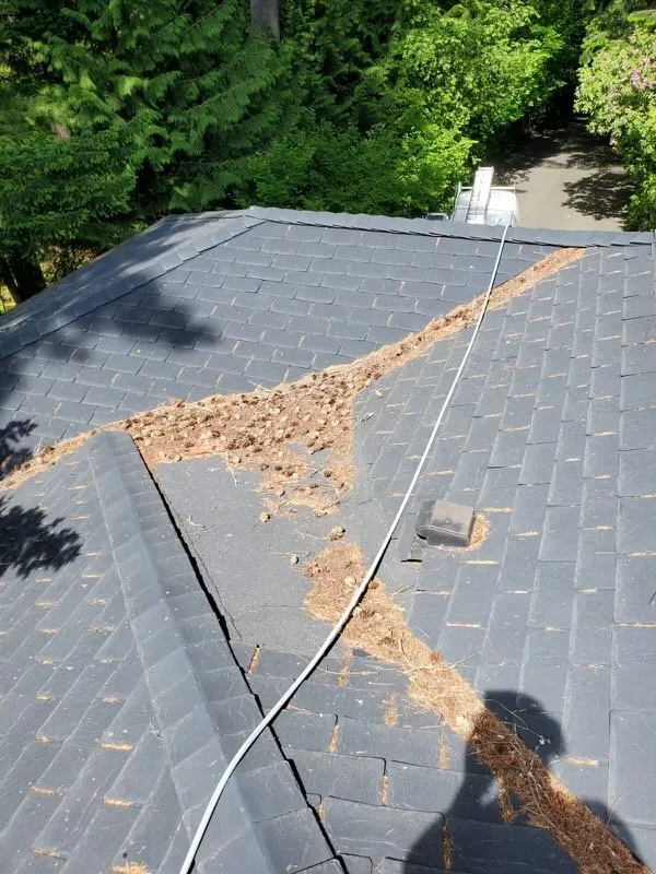 Slide of Magic Services