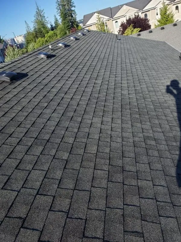 Slide of Magic Services