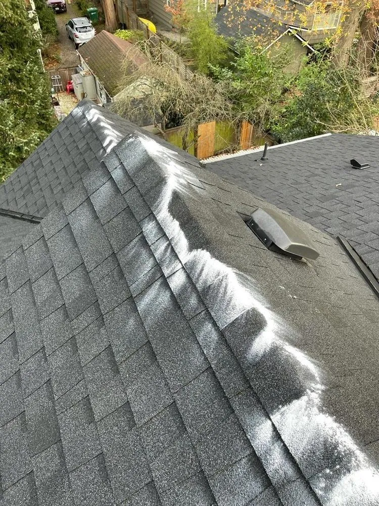 Slide of Magic Services