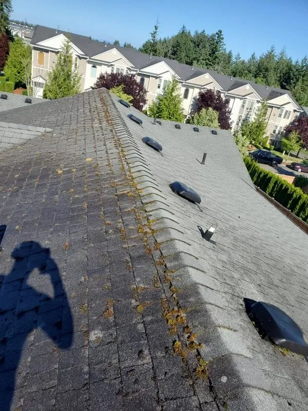 Slide of Magic Services