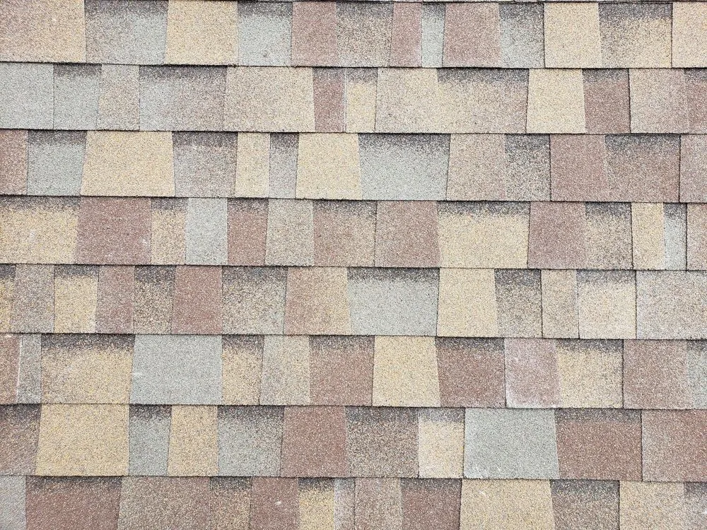 Slide of Magnus Exteriors