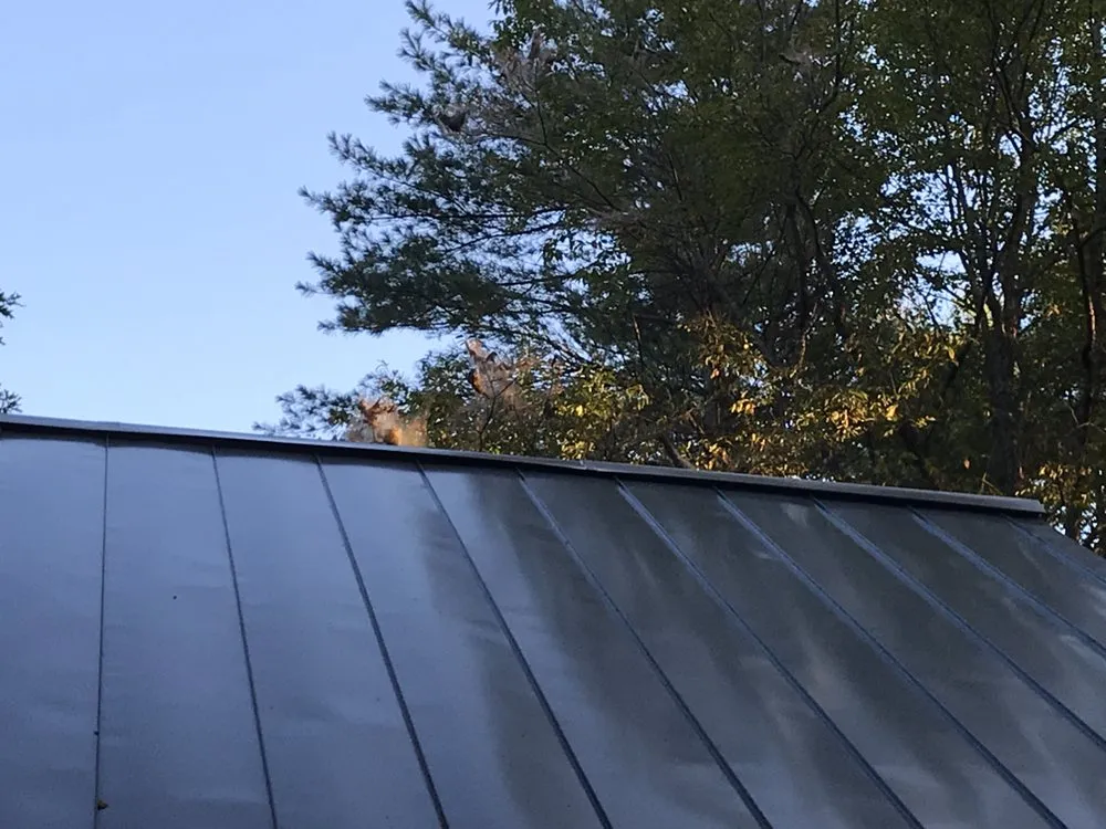 Slide of Maier's Building Maintenance