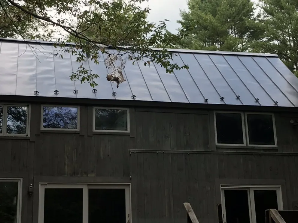 Slide of Maier's Building Maintenance