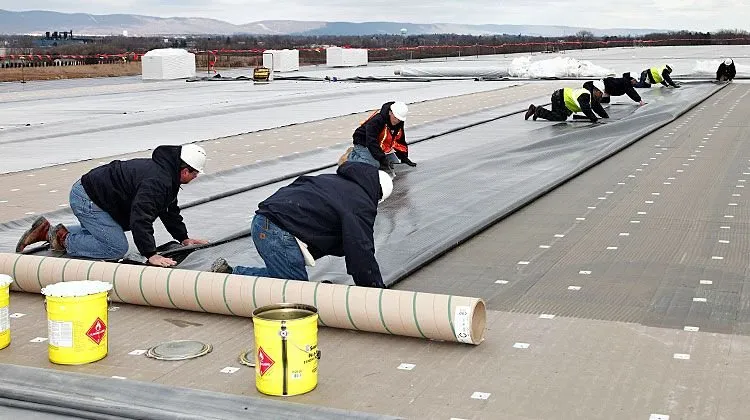 Expert roof inspection in Tampa Bay, FL by MaintenX International