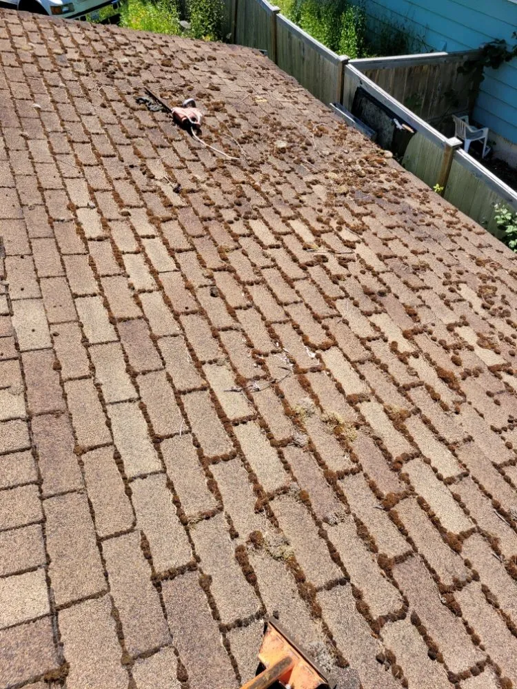 Slide of Major League Roofing