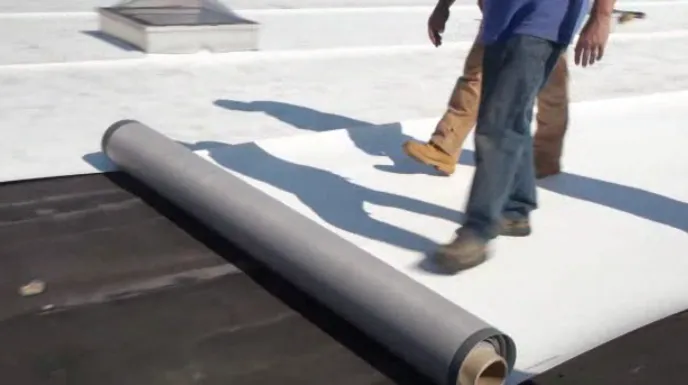 Slide of Mallard Exteriors