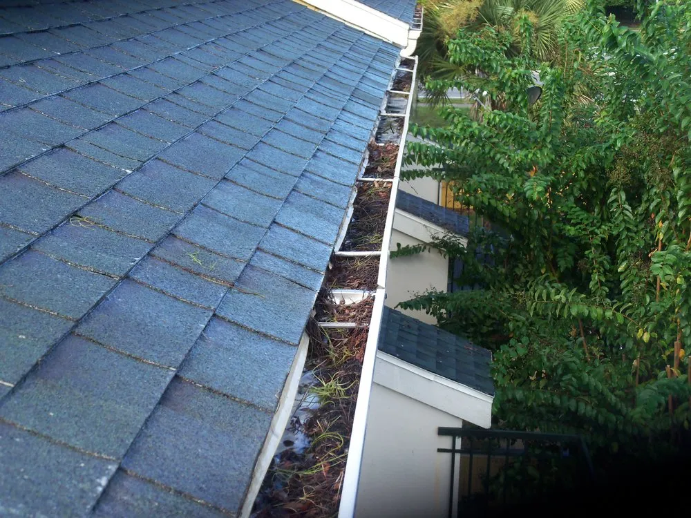 Slide of Mallard Systems