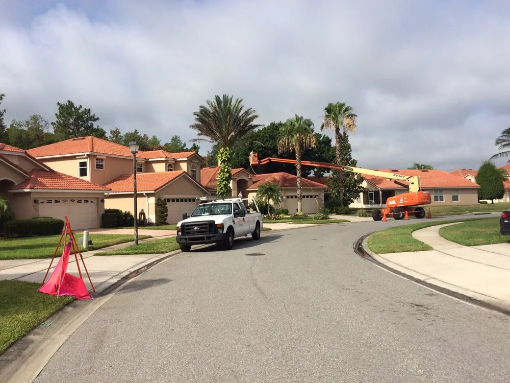 Slide of Mallard Systems