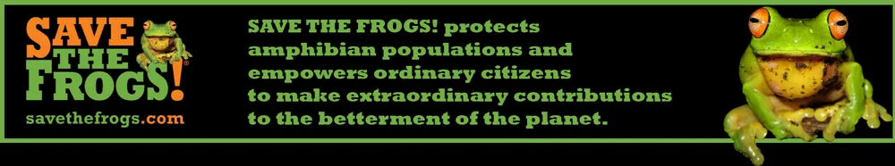 Slide of Mallard Systems