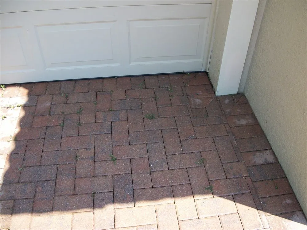 Slide of Mallard Systems