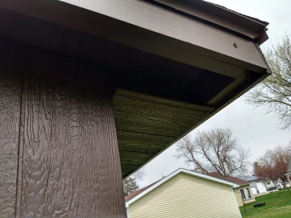 Slide of Mama's Boys