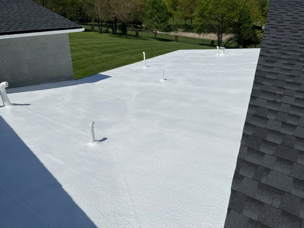 Slide of Mamba Restoration