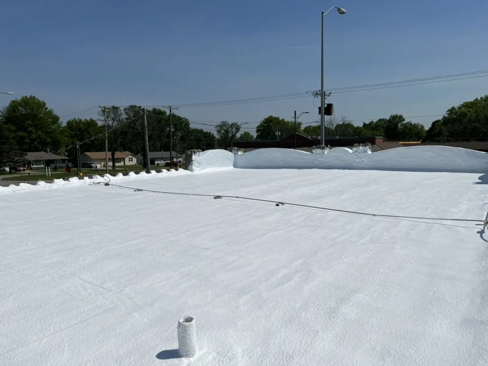 Slide of Mamba Restoration