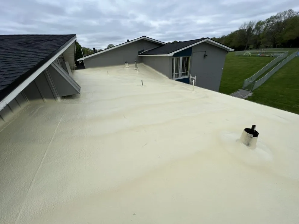 Slide of Mamba Restoration