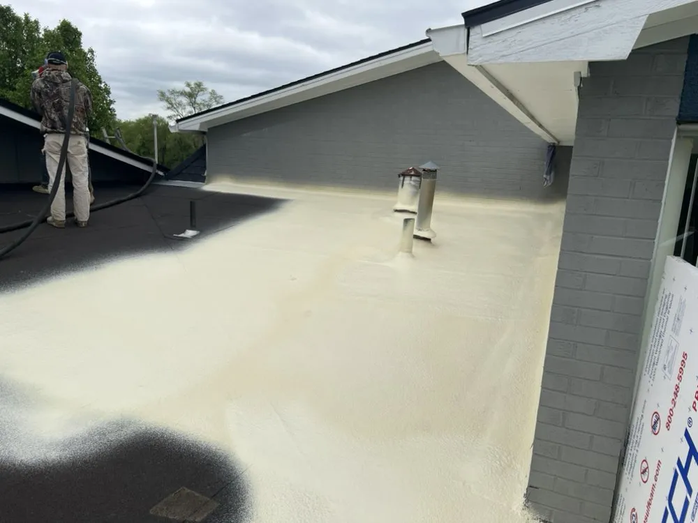 Slide of Mamba Restoration