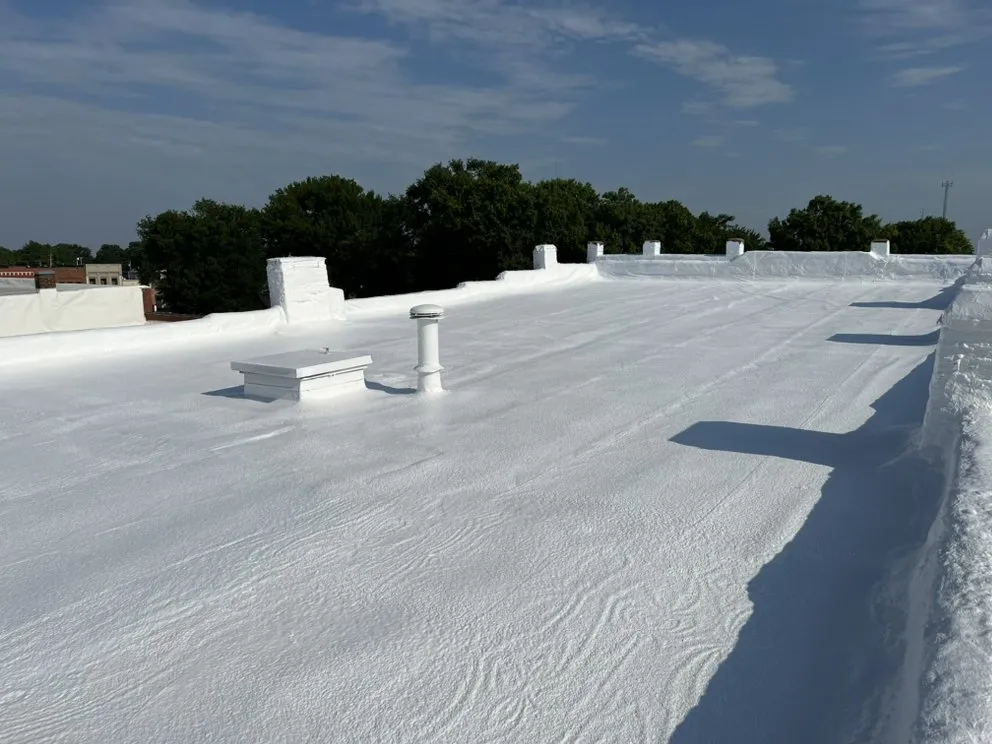 Slide of Mamba Restoration