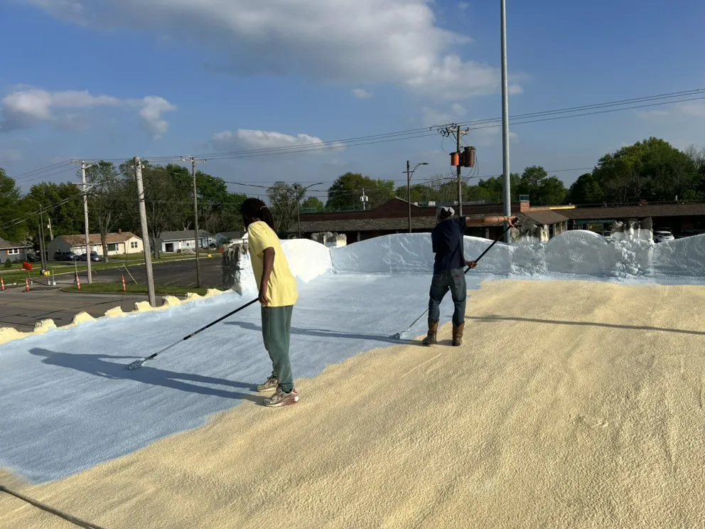 Slide of Mamba Restoration