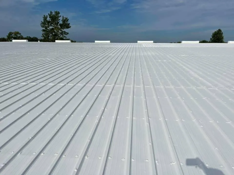 Slide of Mamba Restoration