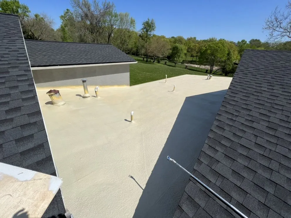 Slide of Mamba Restoration