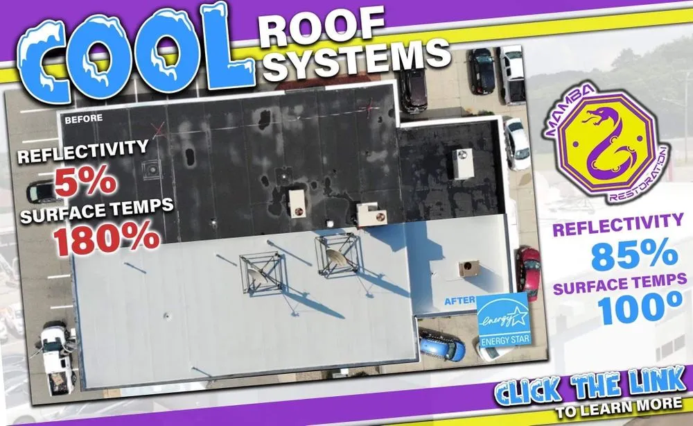 Slide of Mamba Restoration