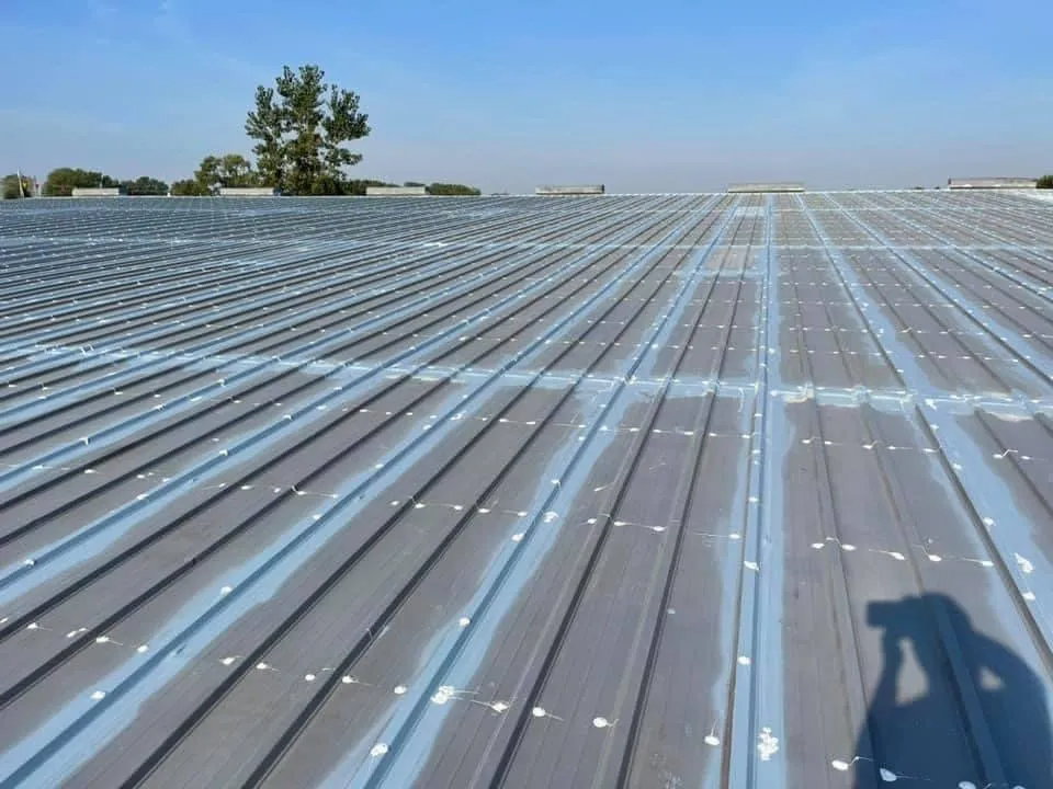 Slide of Mamba Restoration