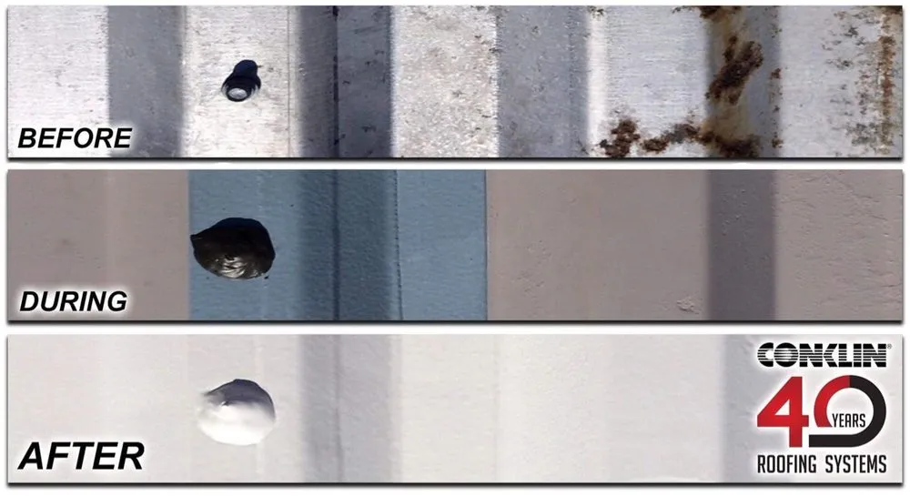 Slide of Mamba Restoration