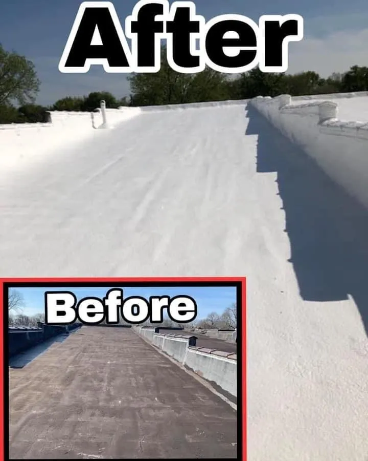 Slide of Mamba Restoration