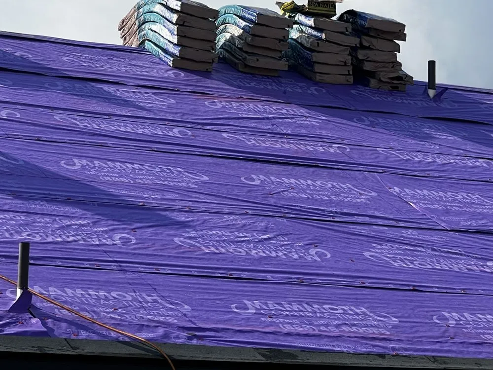 Slide of Mammoth Contracting