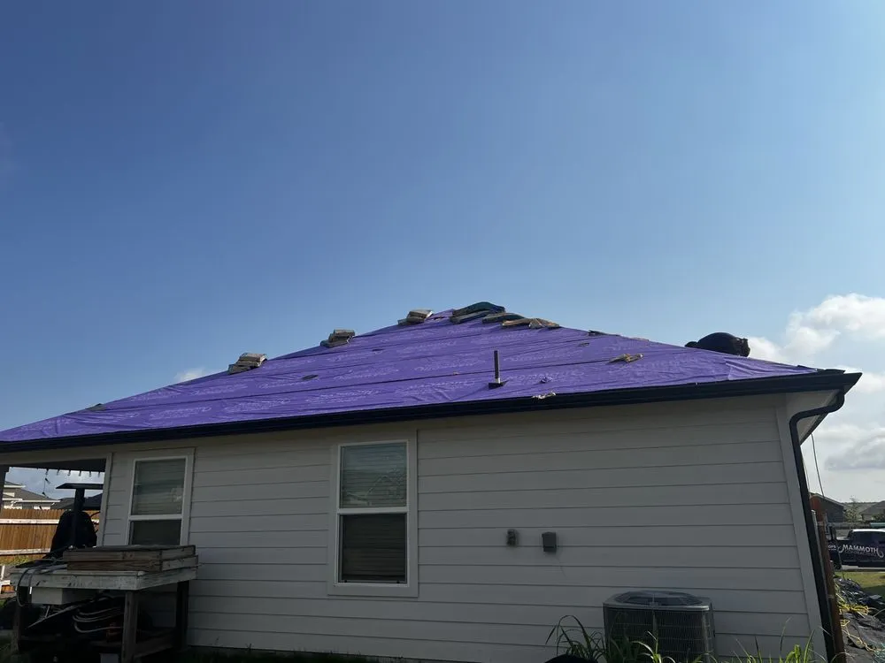 Slide of Mammoth Contracting