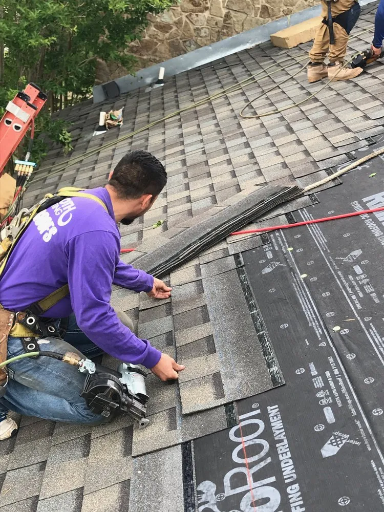 Slide of Mammoth Contracting