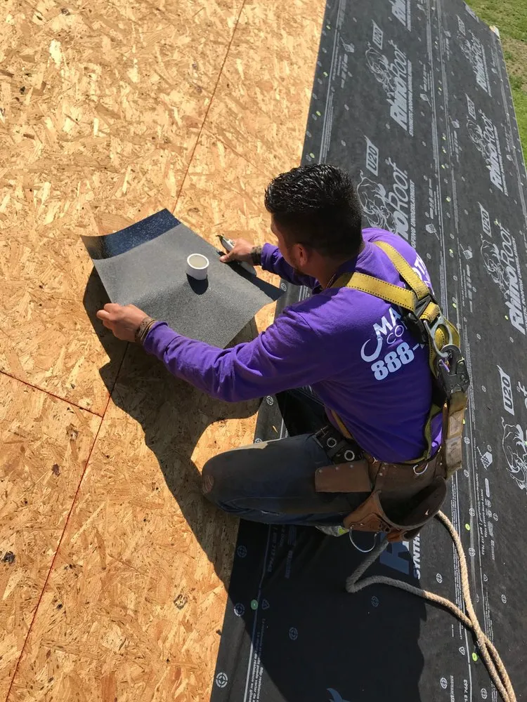 Slide of Mammoth Contracting