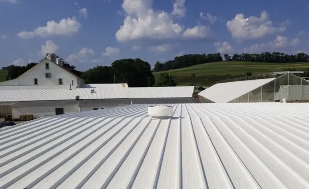 Slide of Mammoth Roofing