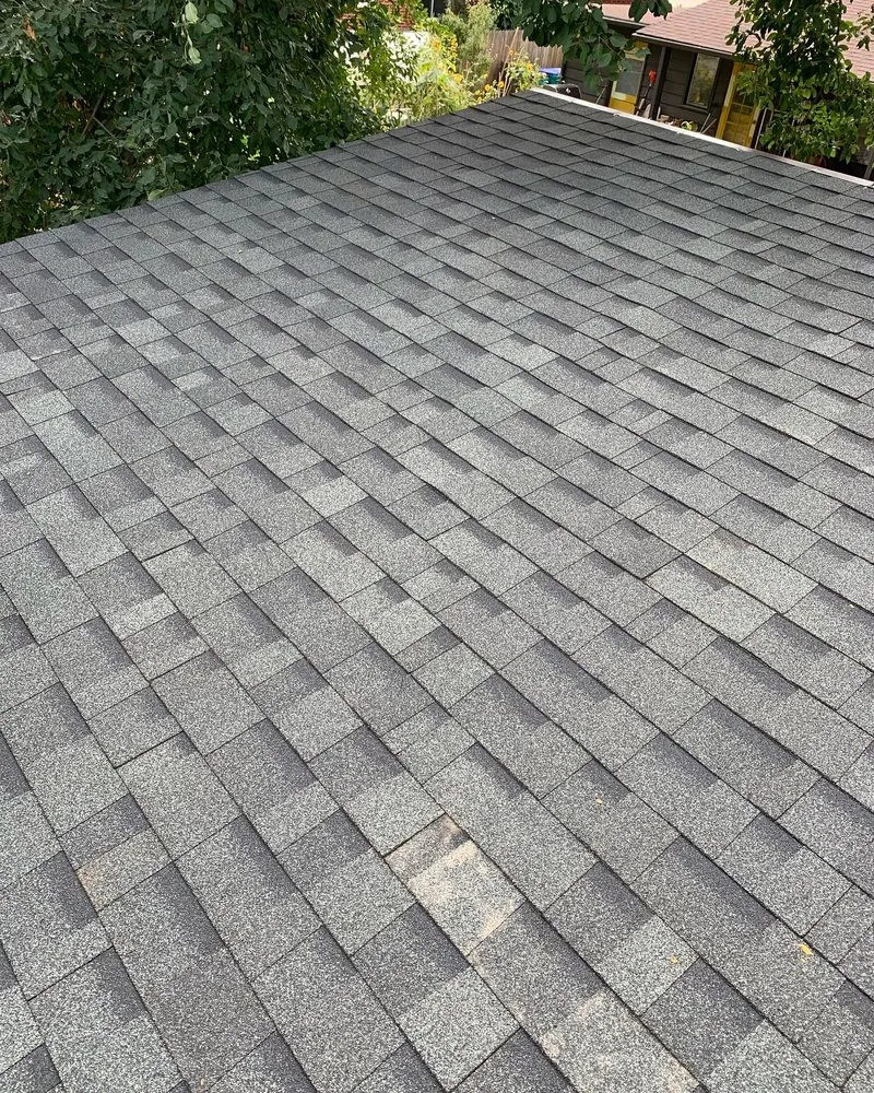 Slide of Mammoth Roofing