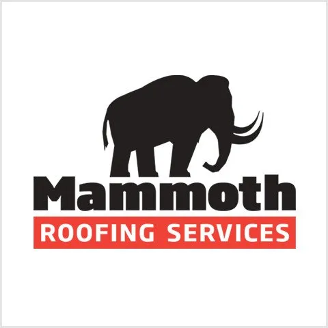 Slide of Mammoth Roofing Services