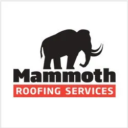 Slide of Mammoth Roofing Services