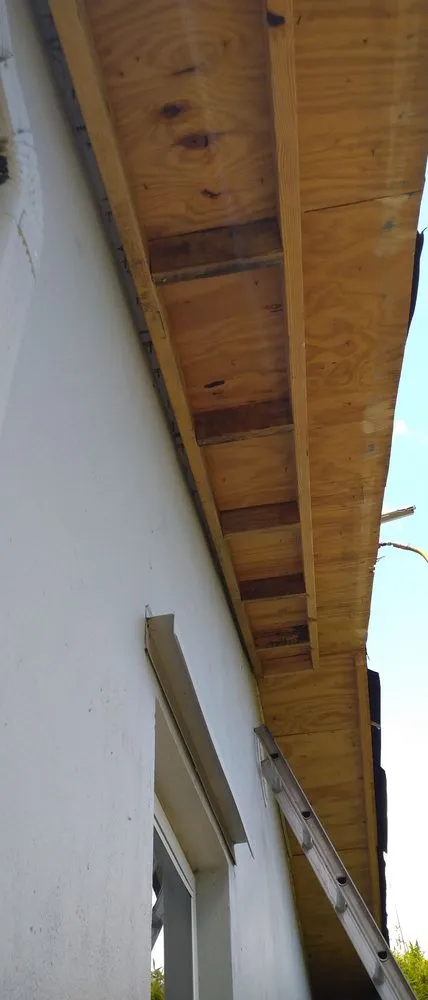 Slide of Mamone And Sons