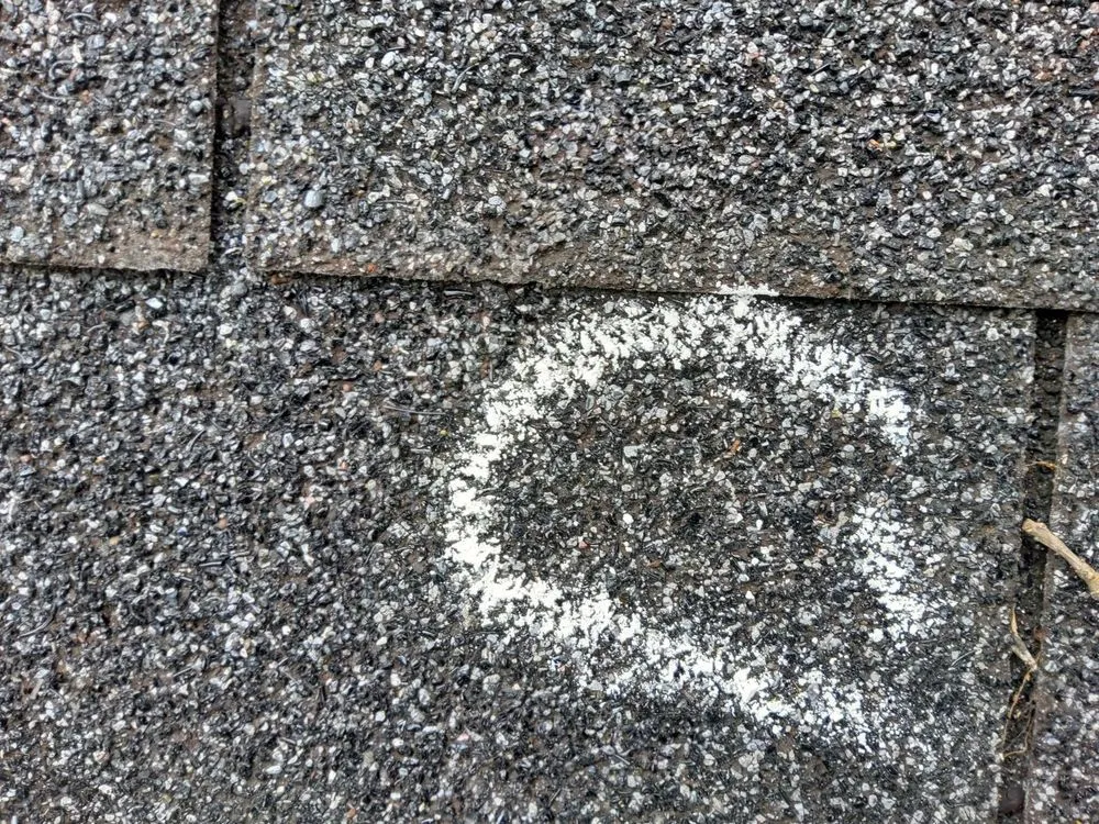 Slide of Manchester Construction Services