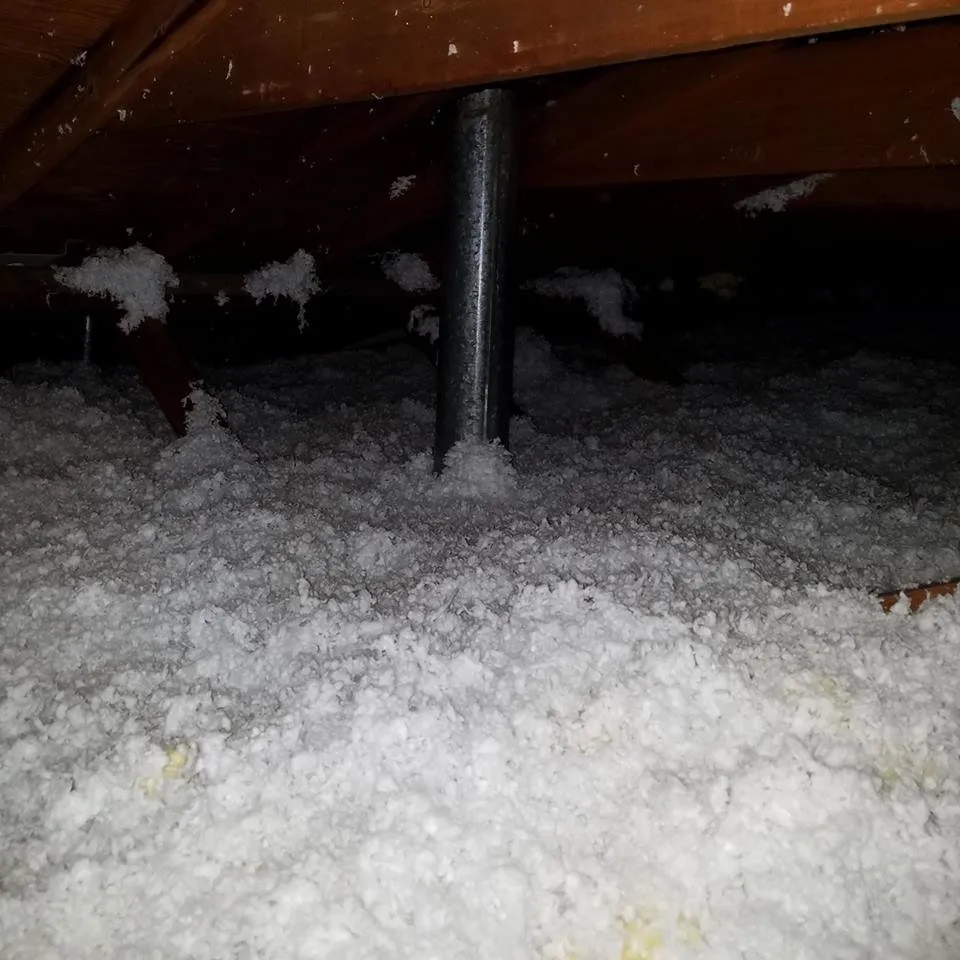 Slide of Mann Brothers Solutions