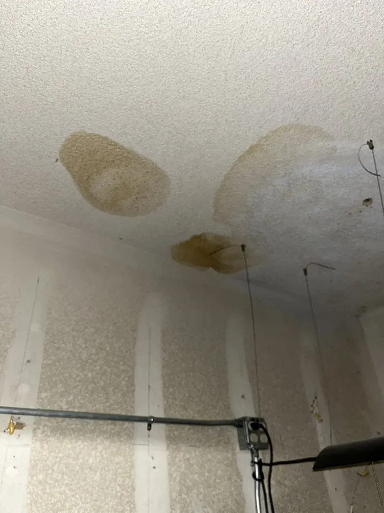 Slide of Manuel Tovar