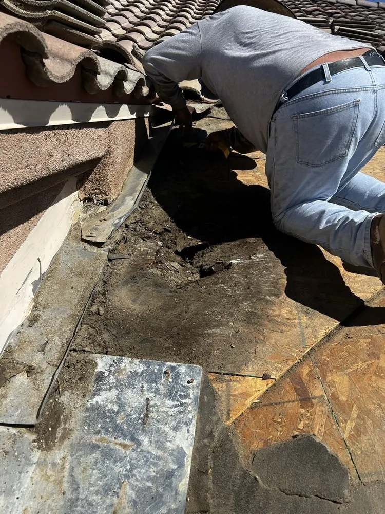 Slide of Manuel Tovar