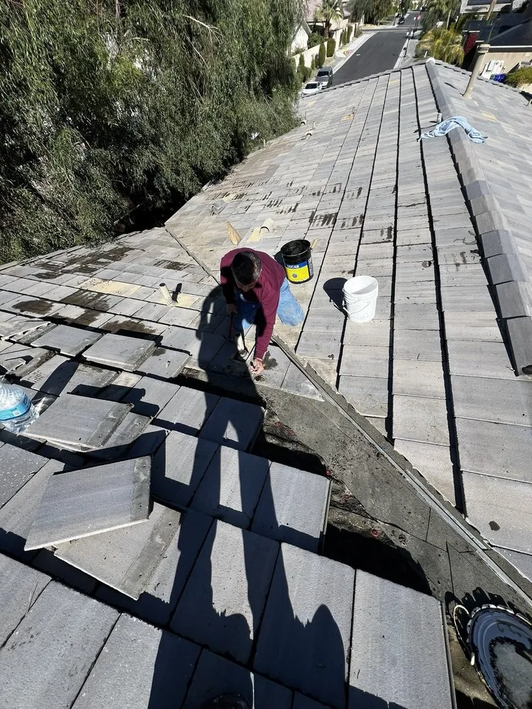 Slide of Manuel Tovar