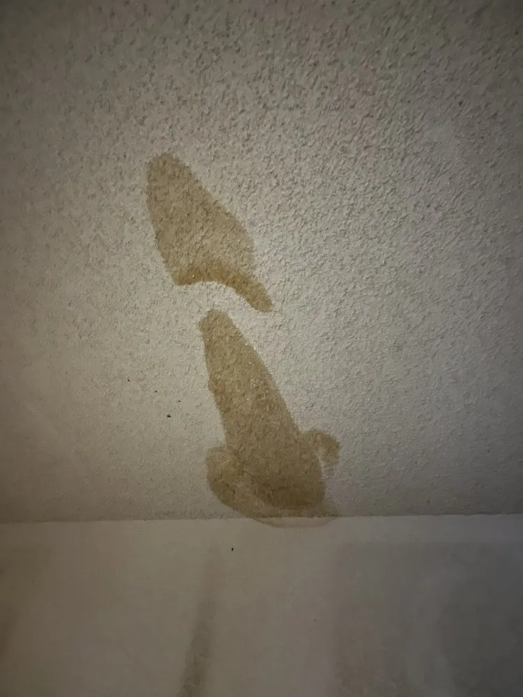 Slide of Manuel Tovar