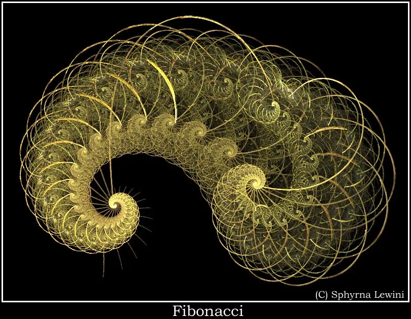 Slide of Maple Guy Construction