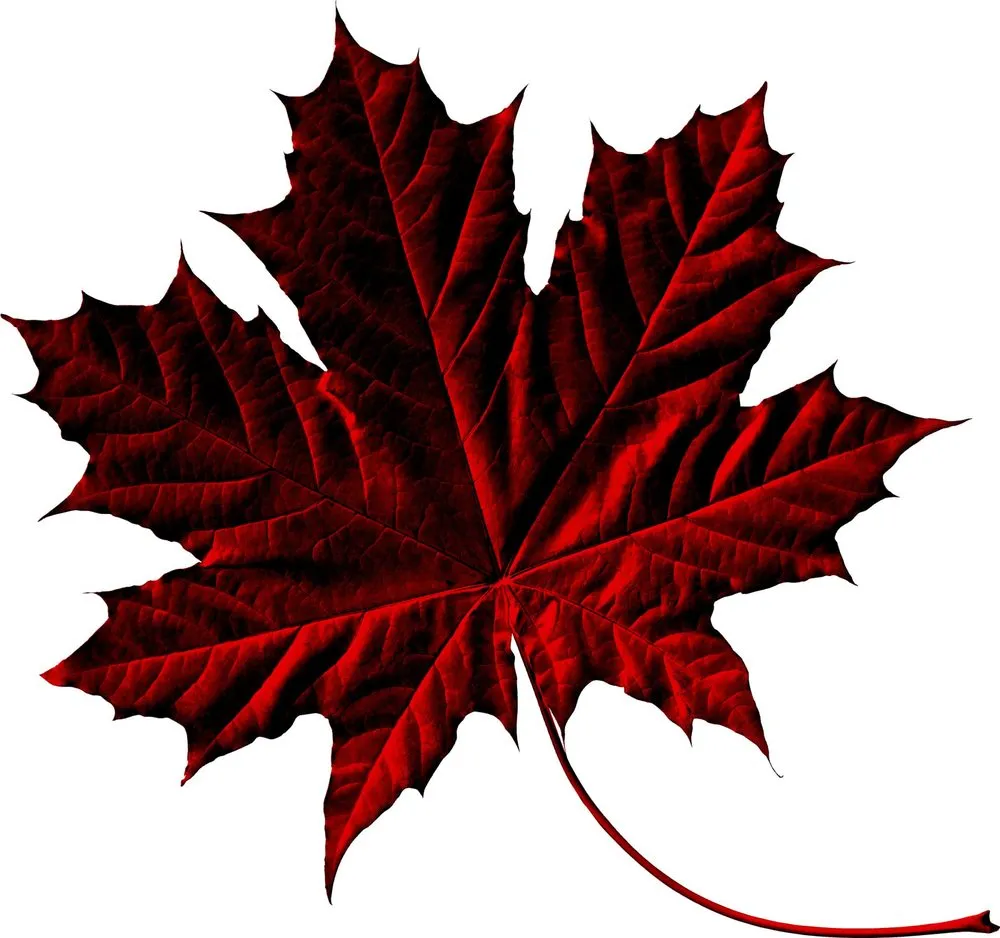 Slide of Maple Roofing & Construction