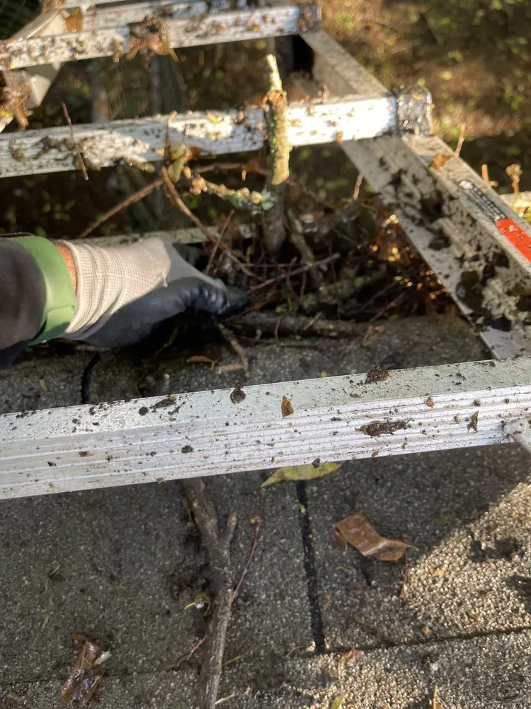 Slide of Marcus Gutters Cleaning