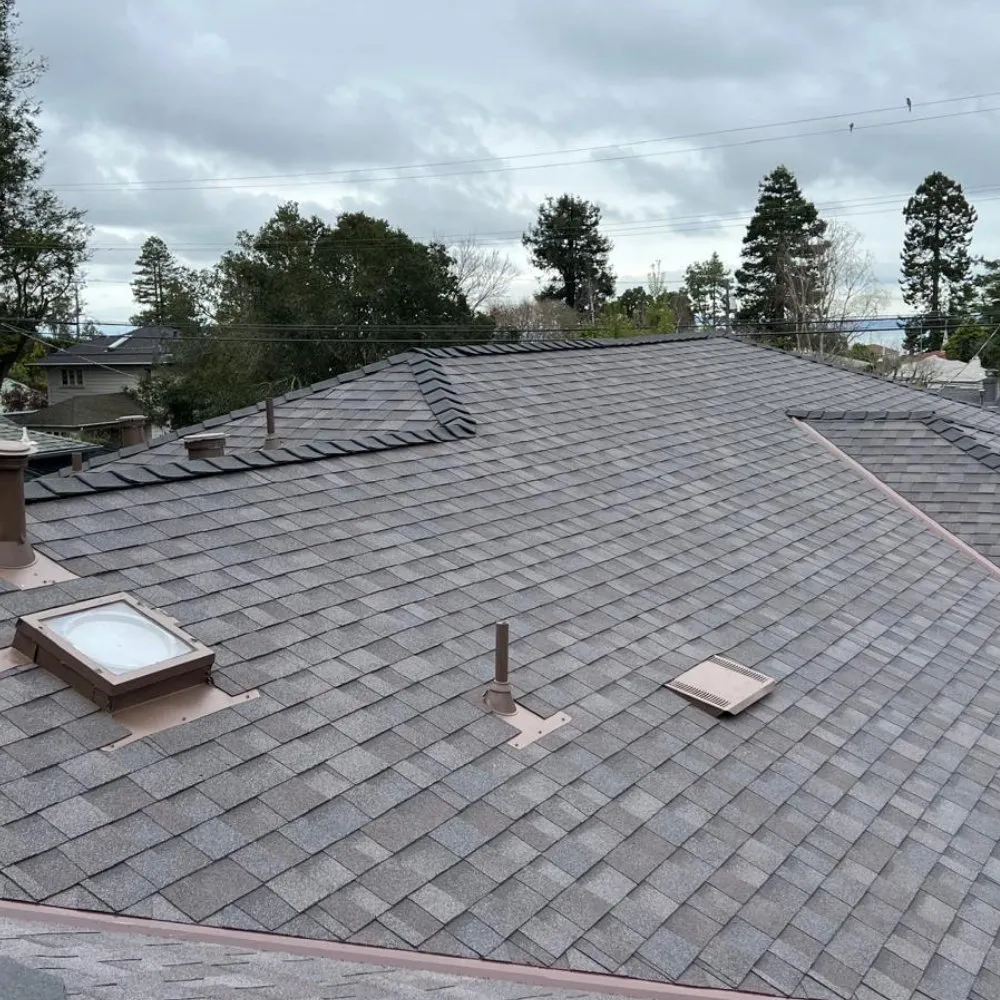 Slide of Marina Bay Roofing